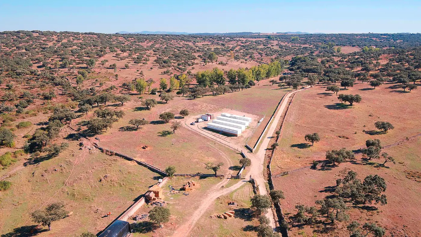 Foto de e-EyE: Entre Encinas y Estrellas (Fregenal de la Sierra)